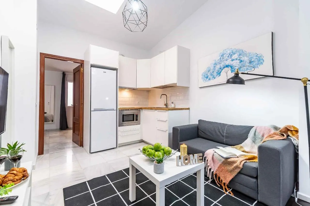 Atico Premium - Malaga City Center Daire