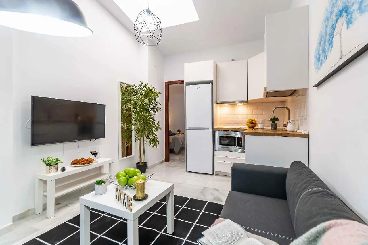 Daire Atico Premium - Malaga City Center