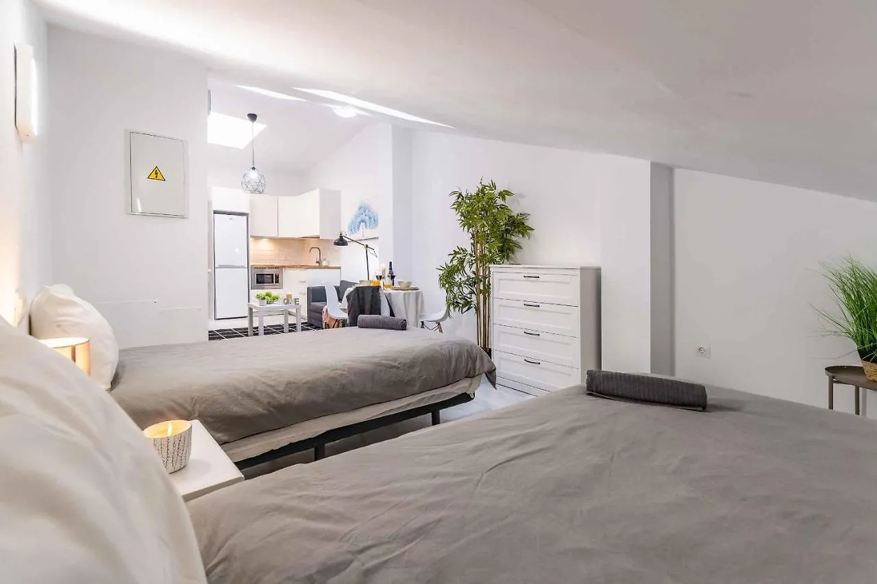 Atico Premium - Malaga City Center İspanya